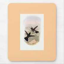 Gould - schuppiger Hauch-Bein Kolibri Mauspads