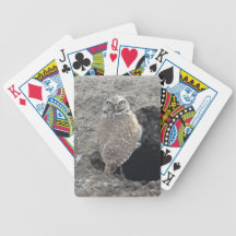 Graben der Eulen-Karten Poker Karten