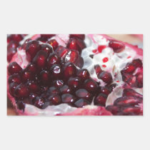 Granatapfelfruchtmakrofoto-Samenrot aufkleber