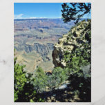 Grand Canyon gerahmt durch Felsen und Sträuche Vollfarbige Flyer