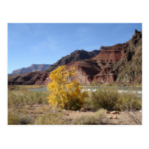 Grand- CanyontannerRapid Postkarten