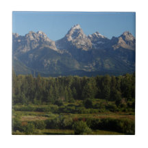 Grand Teton In Utah Tile