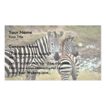 Grants Zebra Visitenkarten Vorlagen