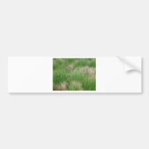 Gras Autosticker