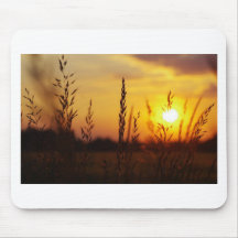 Gräser im Sonnenuntergang Mauspads