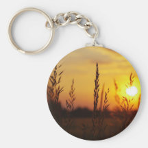 Gräser im Sonnenuntergang Schlüsselbänder