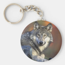 grauer timberwolf Wolf Schlüsselanhänger
