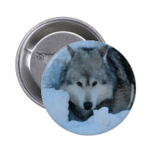 Grauer Wolf Anstecknadel