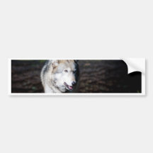 Grauer Wolf Autoaufkleber