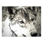 Grauer Wolf-Porträt Ankündigungskarte