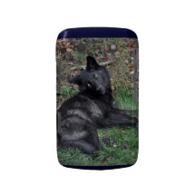 Grauer Wolf-Porträt-Tier-Foto-BlackBerry-Kasten Blackberry Case