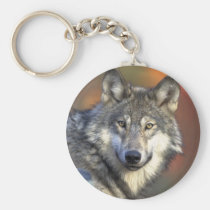 Grauer Wolf-Schlüsselkette schlüsselanhänger