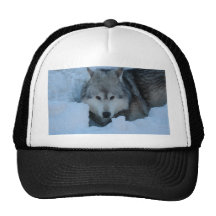 Grauer Wolf Trucker Caps