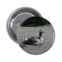Graugans-Gans Anstecknadelbuttons