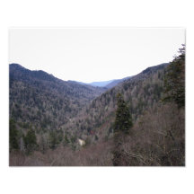 Great Smoky Mountains-Kälte-Tag Kunstphoto
