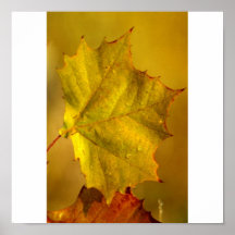 Greenleaf Plakatdrucke
