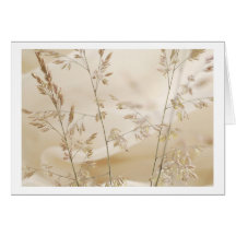 Greeting Card Grasses Grußkarte