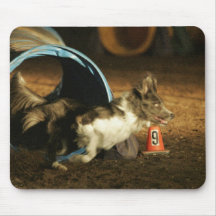 Grenzcollie-Agility Mousepad