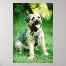 Grenze Terrier Plakatdrucke