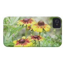 GrenzgartenRudbeckias iPhone 4 Hülle