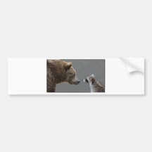 Grizzle Bär trifft Waschbären Autosticker