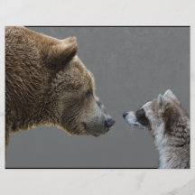 Grizzle Bär trifft Waschbären Flyer