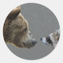 Grizzle Bär trifft Waschbären Sticker