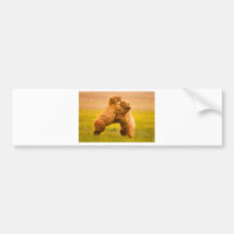 Grizzly-Bärn-Wrestling Auto Sticker