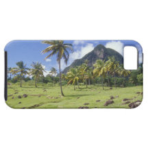 GrosPitonansicht entlang die historische Spur here Schutzhülle Fürs iPhone 5