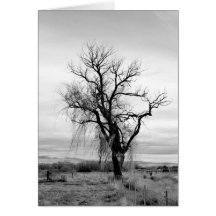 Großartiger Baum 1 Grußkarte