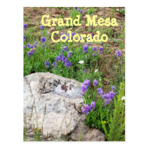Großartiges MESA, Colorado Postkarte