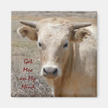 Große Augen-weißes Charolais-Vieh - Western Kühlschrankmagnet