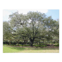 Große Baum-Einladungen