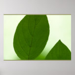 große Spitze Plakat