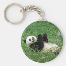 Großer Panda, der Bambus essend Lounging ist Schlüsselband