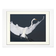 Großer Reiher-Vogel-Fotografie-Druck