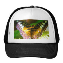 Großer Schmetterling Truckermütze