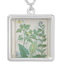 Größerer Celandine oder Mohnblume Halsketten