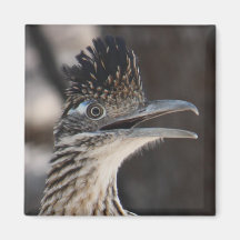 Größerer Roadrunner-Magnet Kühlschrankmagnet