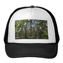 großes Holz des Park-20100809-Windsor Baseball Cap