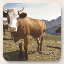 grossglockner hochalpenstrasse, hohe tauern, drink untersetzer