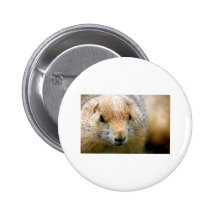 grounghog anstecknadelbutton