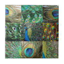 Grün-blaue Pfaufotocollage Kacheln