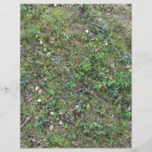 GrundPflanzen, die auf dem Gras-Gebiet wachsen Individuelle Flyer