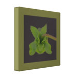 Grüne Blatt-Blüten-Leinwand Leinwanddruck