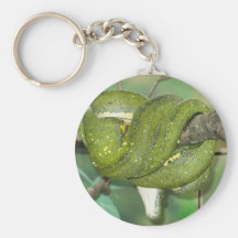 Grüne Boa-Schlange Keychain Schlüsselband