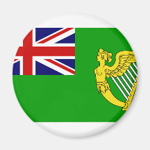 Grüne Fahne, Irland Kühlschrankmagnete