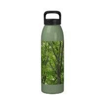 Grüne Forrest Wasser-Flasche Wasserflaschen