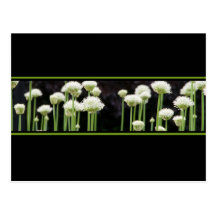 Grüne Schwarzweiss-mit Blumenpostkarte