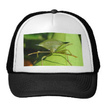 Grüne Wanze Trucker Cap